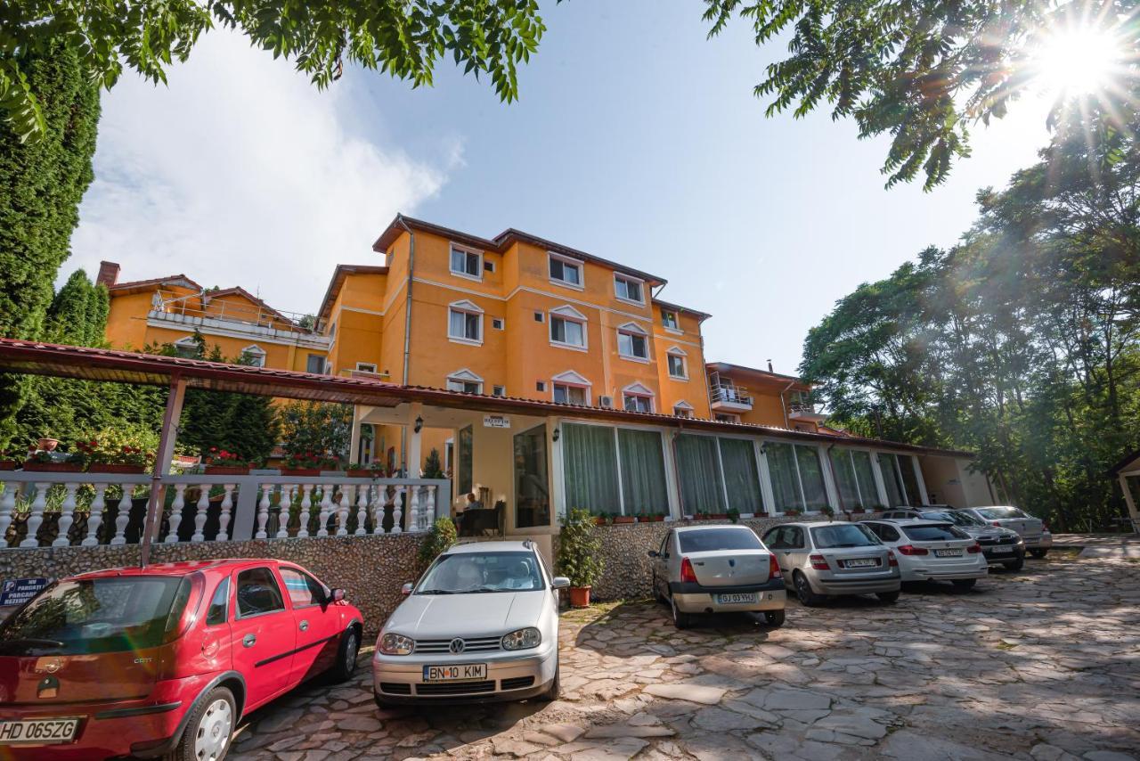 Aida Hotel Spa & Tratament Geoagiu Băi Exteriör bild